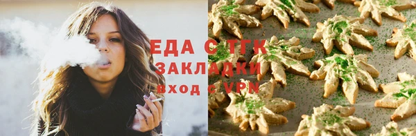 гашик Абаза
