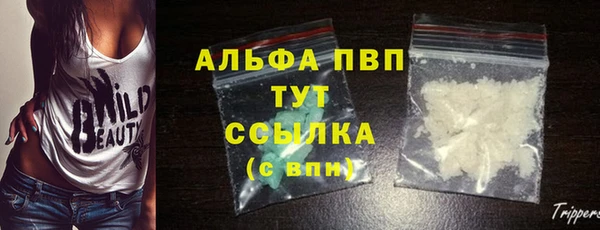 гашик Абаза